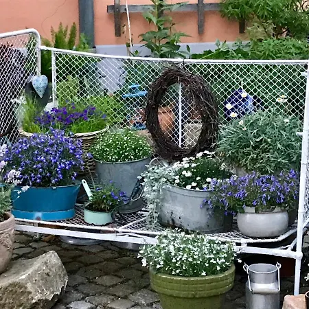 Alter Bauernhof Appartamento Dresda